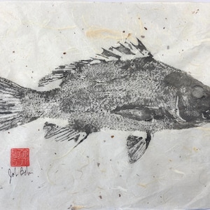 Original Gyotaku fish print - Mangrove Snapper (unmounted)