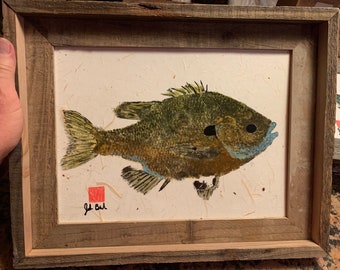 Original gyotaku fish print bluegill #3, framed