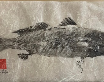 Original gyotaku fish print sea trout, unmounted