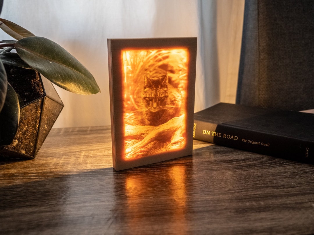 Personalized LED Light Photo Frame - Etsy