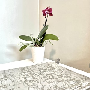 May include: A small potted orchid plant with a single pink flower in bloom. The plant is in a white ceramic pot and is sitting on a white surface with a patterned fabric.