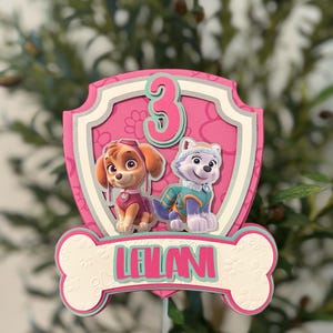Paw Patrol Inspire Cake Topper, Girl Cake Topper