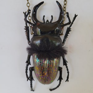Beetle Bling Pendant Necklace Ornament