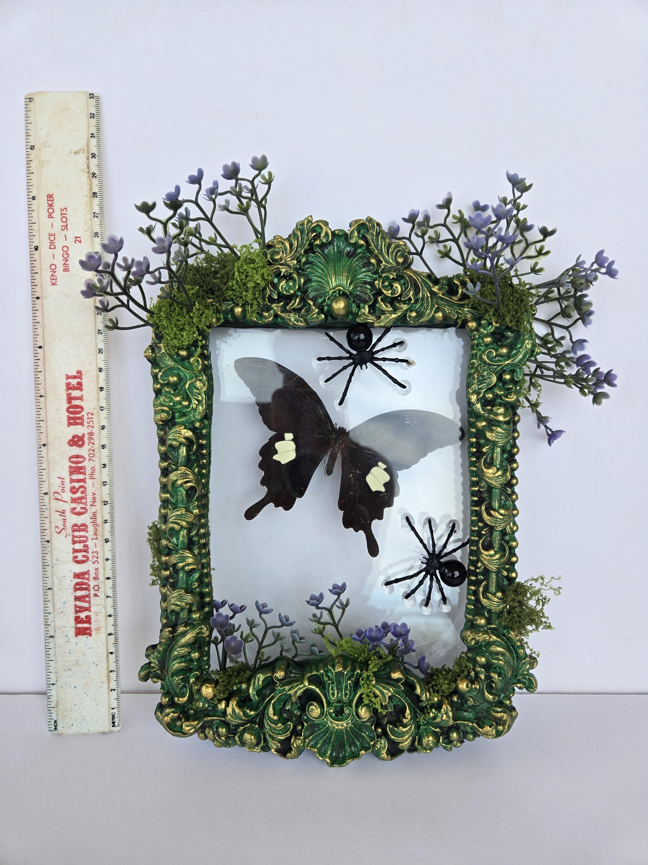 Cottagecore Real Butterfly Frame Art Piece - Etsy