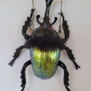 Beetle Bling Pendant Necklace Ornament