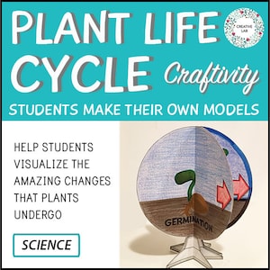 Plant Life Cycle - 3D Model Craft Activity