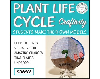 Plant Life Cycle - 3D Model Craft Activity