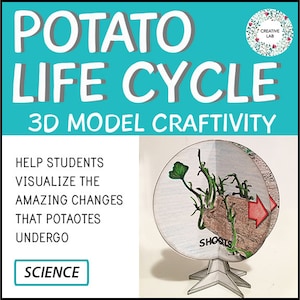 Potato Life Cycle - 3D Model Craft Activity