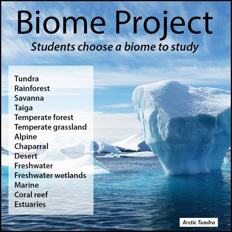 biomes research project pdf