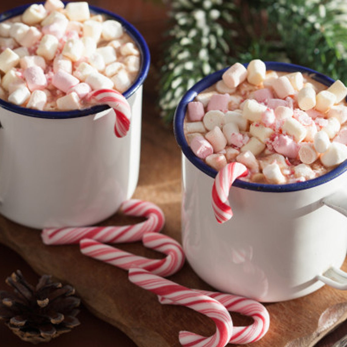Christmas Mini Candy Canes Bulk Individually Wrapped 1 Pound Etsy