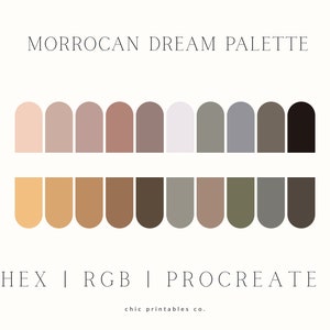 RGB | HEX | Procreate Color Palette, Moroccan Dream Procreate, Color Swatches, Digital Download