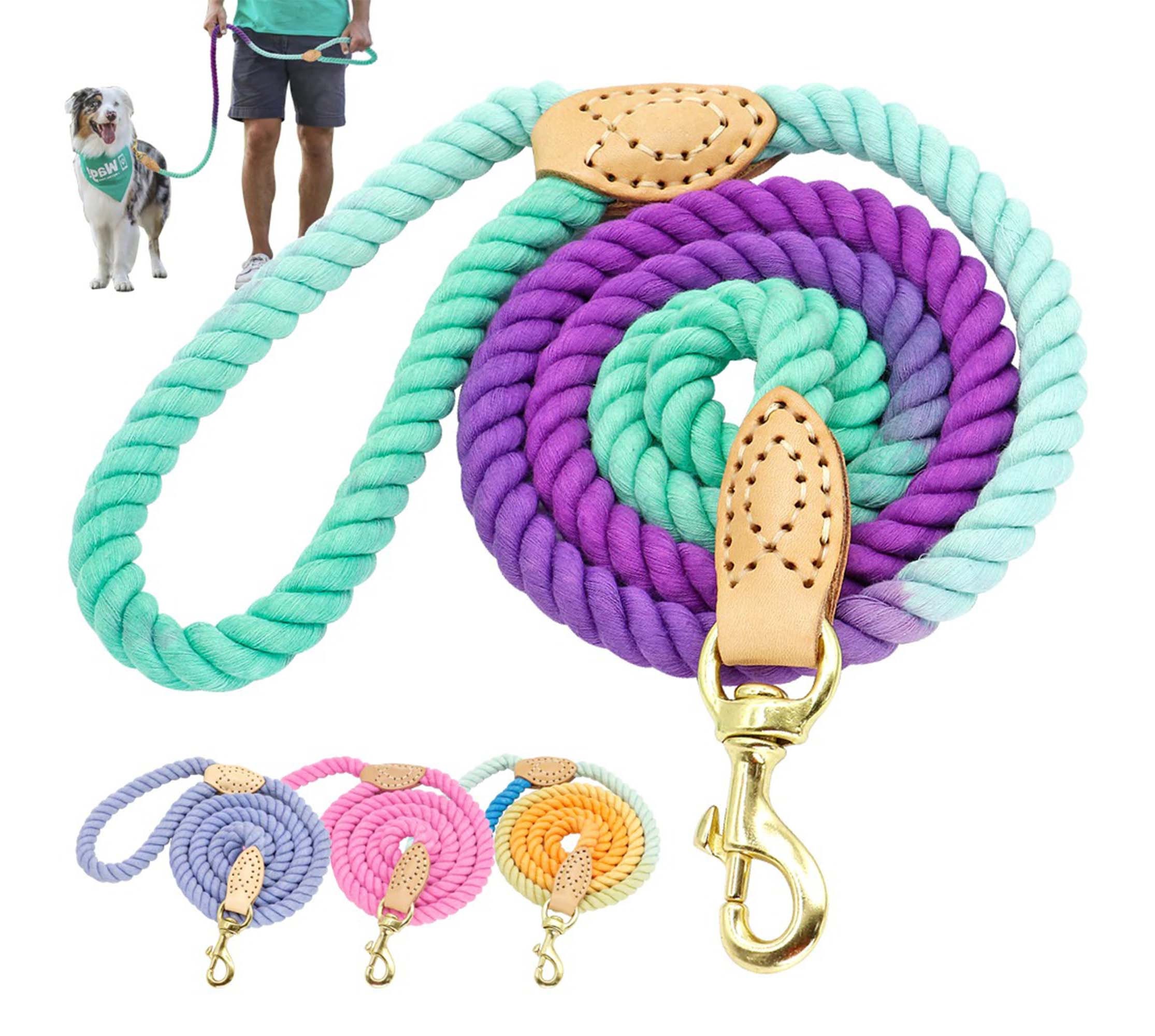 outside dog lead