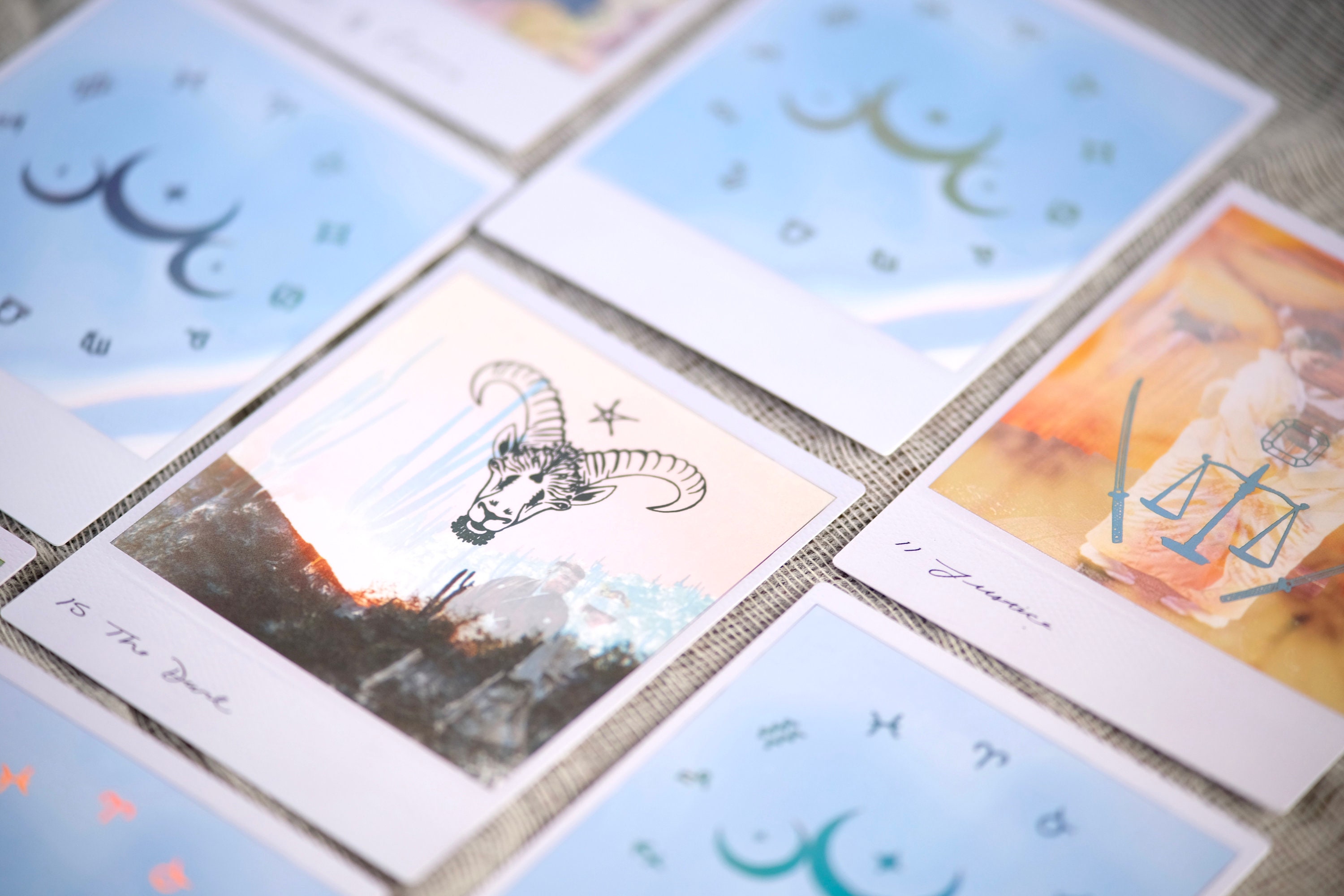 Wild Lands Tarot Deck – 78 Unique Cards With Guidebook