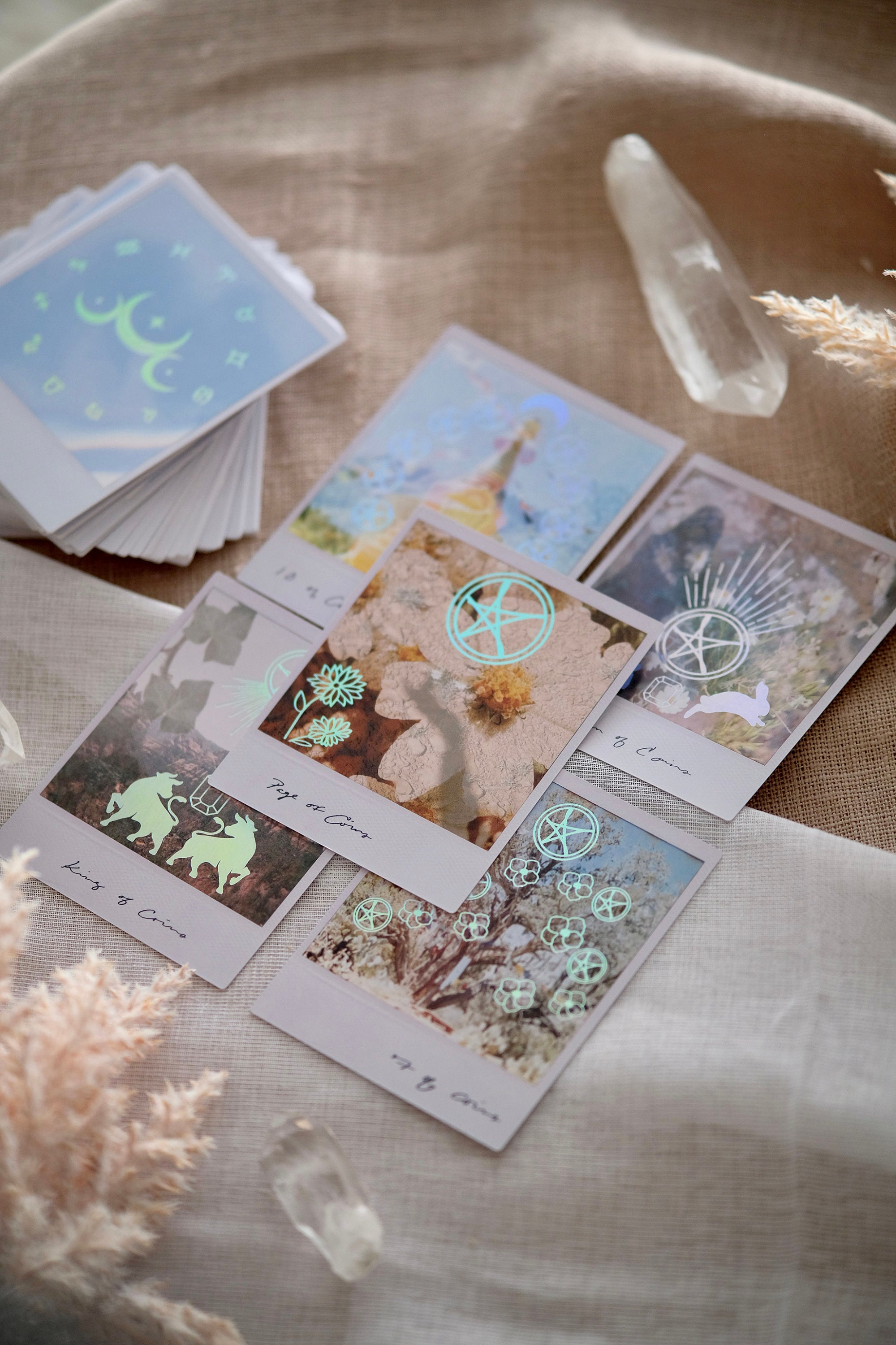 Wild Lands Tarot Deck – 78 Unique Cards With Guidebook
