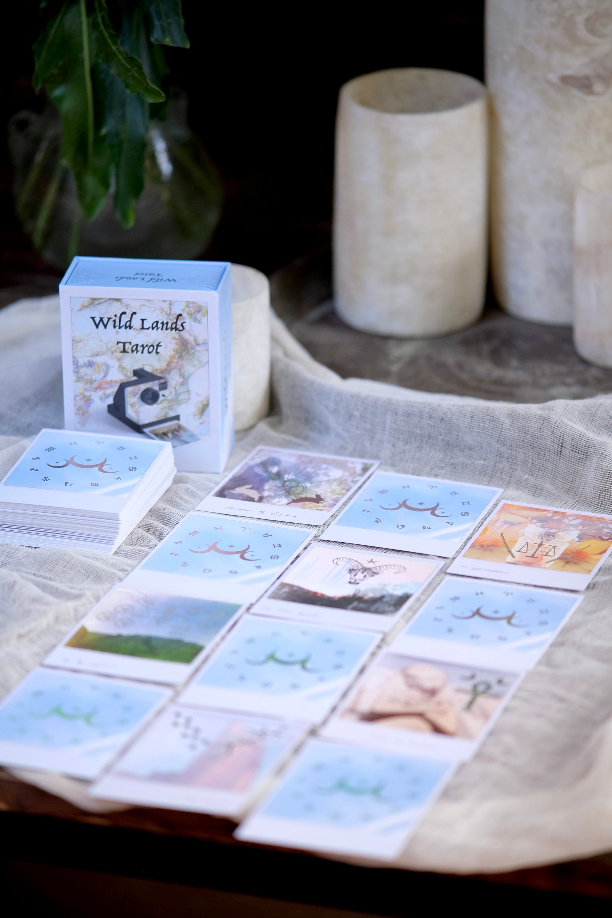 Wild Lands Tarot 78枚デッキとガイドブック Wild Lands Tarot Deck - Sacred Scribe Publishing