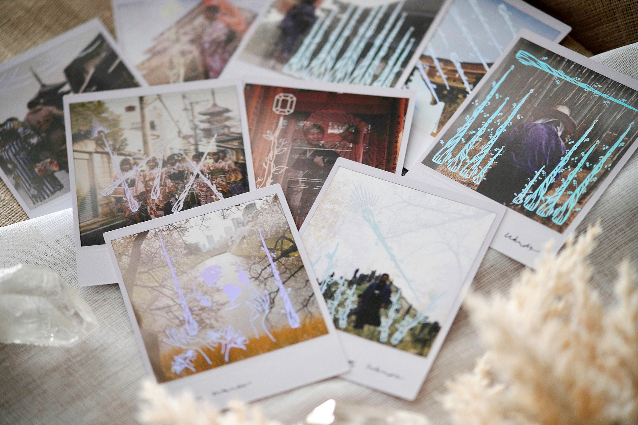 Wild Lands Tarot 78枚デッキとガイドブック Wild Lands Tarot 78枚デッキとガイドブック カードダスその他