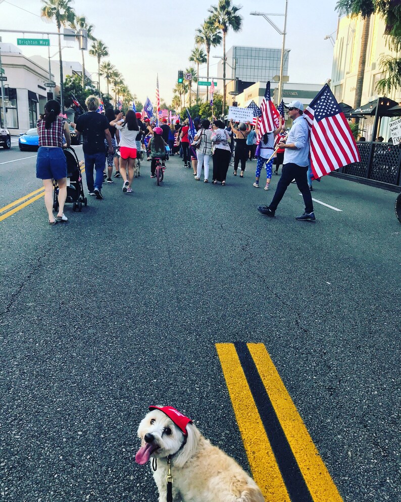 MAGA Trump DOG HATS Caps Make America Great Again Keep Etsy