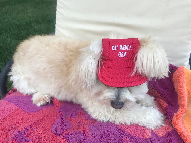 MAGA Trump DOG HATS Caps Make America Great Again Keep Etsy
