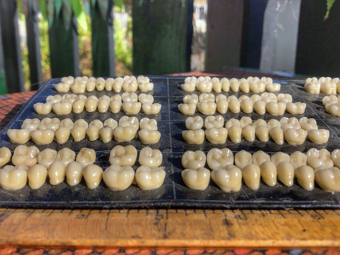 Vintage Trubyte Teeth & Case - Etsy