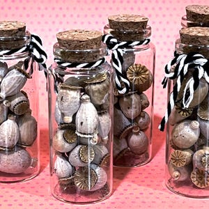 May include: Four clear glass bottles filled with dried seed pods and topped with corks. Each bottle is tied with a black and white striped twine. The seed pods are various shapes and shades of gray and tan.