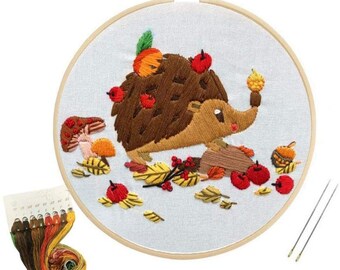 Adorable Hedgehog Beginner Embroidery Kit