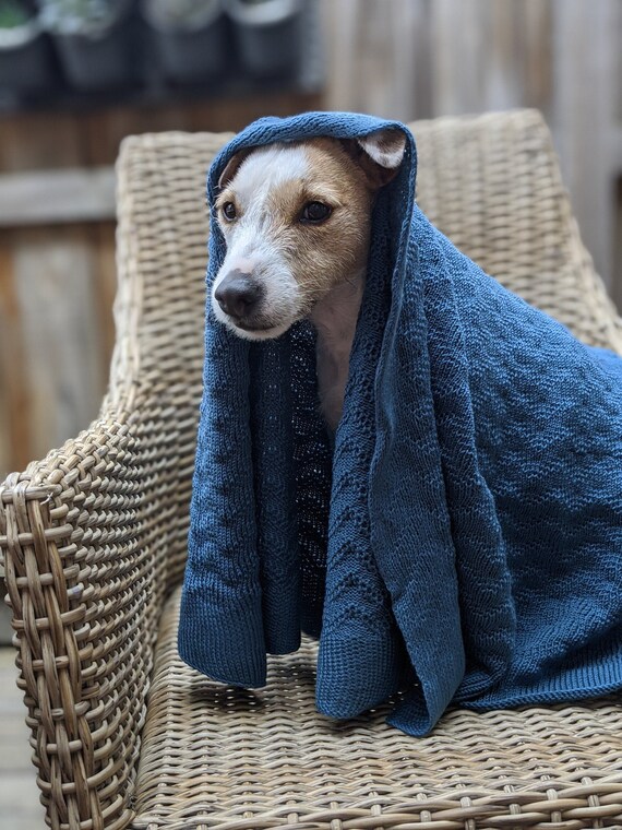 Dog Blanket 2025
