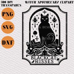 Peut inclure: Silhouette noire et blanche d'un chat assis dans un cadre avec une étoile et d'autres symboles mystiques. Le texte "BLACKCAT HISSES" est en bas du cadre.