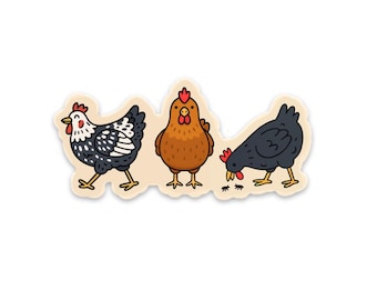 Chicken Magnet | Chick Magnet