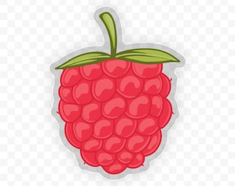 Raspberry Sticker: Waterproof Clear Vinyl, Laptop Decal