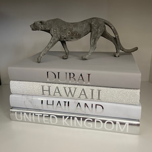 4 Set Of Books | Customizable Book Stack | Fashion Books | Glam Decor Books | Coffee Book Set | Luxurious Book Stack | Personalized Books