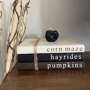 Thanksgiving Book Stack | Fall Book Decor | Fall Book Stacks | Fall Book Bundles | Thanksgiving Decor | Fall Decor | Farmhouse Book Bundles