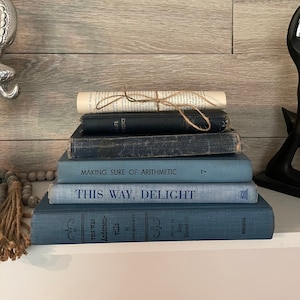 Vintage Books | Vintage Book Stack | Decorative Book Decor | Antique Books | Vintage Decor | Book Stack | Book Bundle | Home Decor
