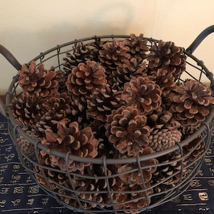 May include: A round, dark gray wire basket with two side handles, filled with a collection of natural brown pine cones. The wire basket features a grid pattern and is constructed from thin metal rods, holding numerous pine cones of varying sizes.