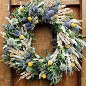 Door wreath DISTEL-LIEBE with Craspedia drum beater, dry wreath, door decoration, table wreath, pure nature image 1