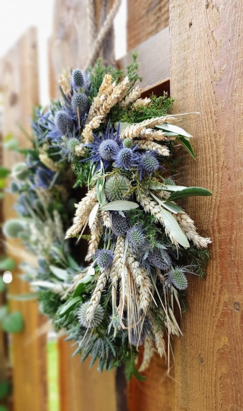 Door wreath DISTEL-LIEBE W., blue thistles with wheat and oats, grain, olive green, pure nature image 5