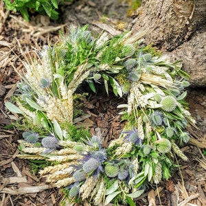 Door wreath DISTEL-LIEBE W., blue thistles with wheat and oats, grain, olive green, pure nature image 3