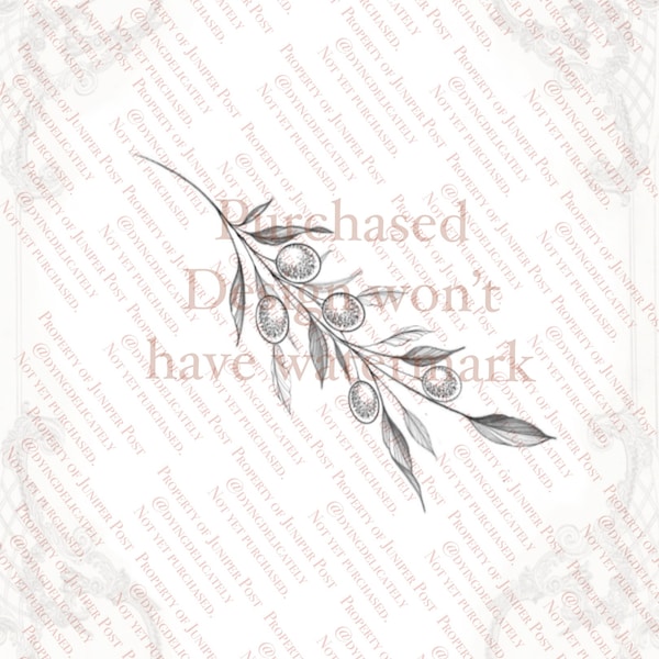 Olive Branch - Etsy