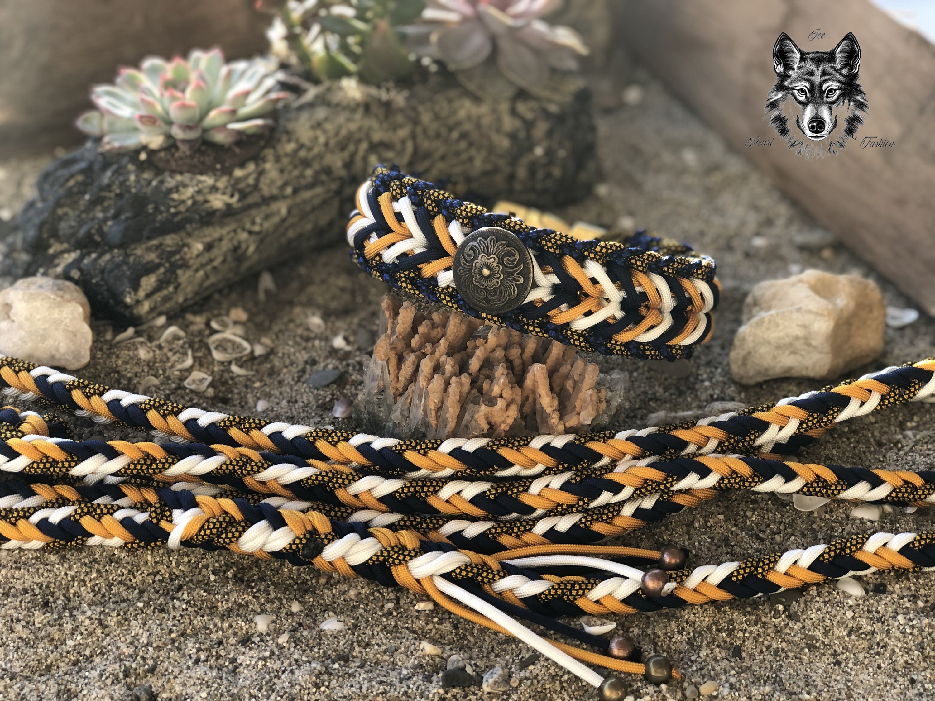 Collier et Laisse Pour Chien; Collar & Leash For Dog; Dog Collar; Leash; Paracord