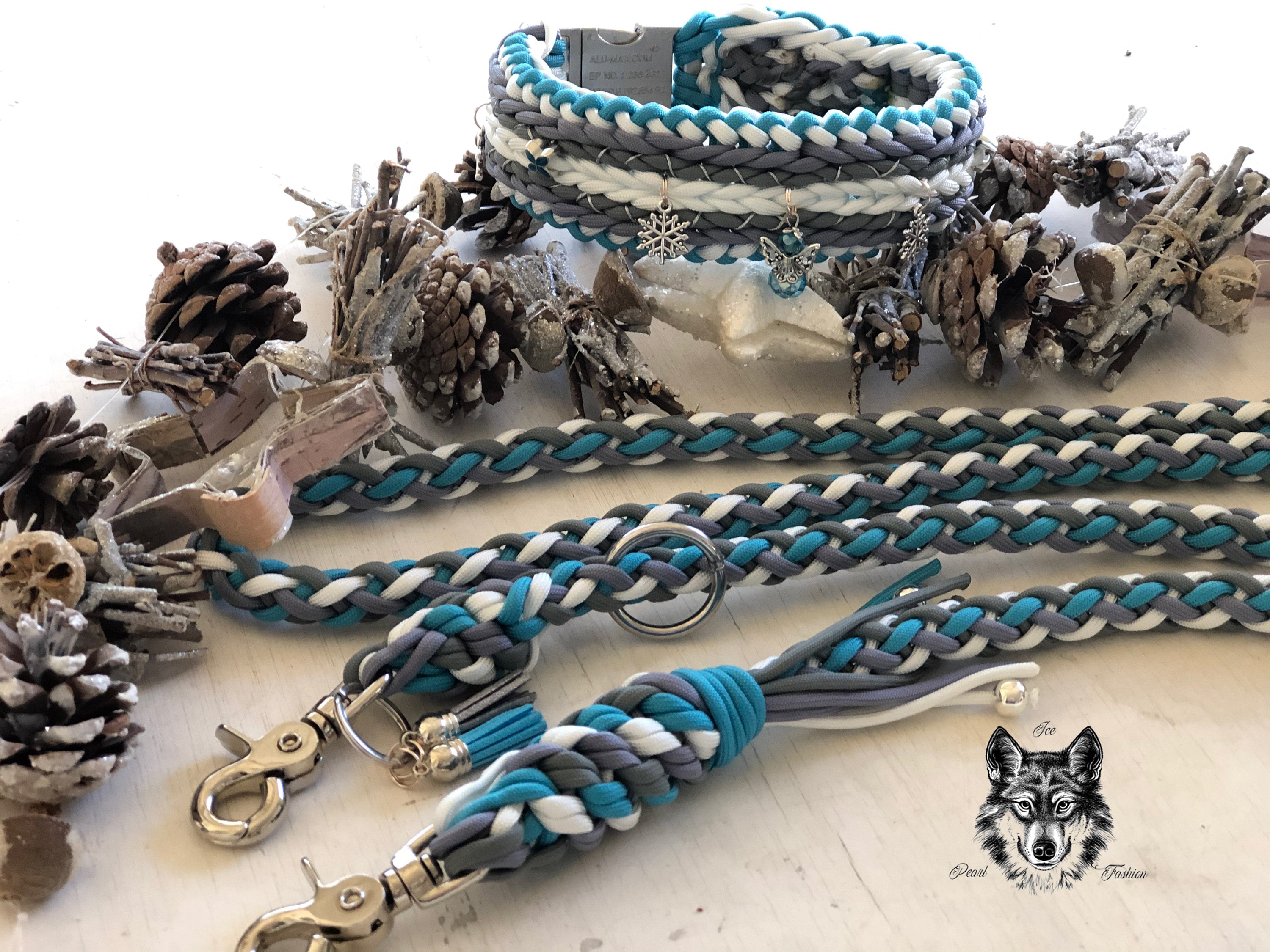 Collier et Laisse Pour Chien; Collar & Leash For Dog; Dog Collar; Leash; Paracord