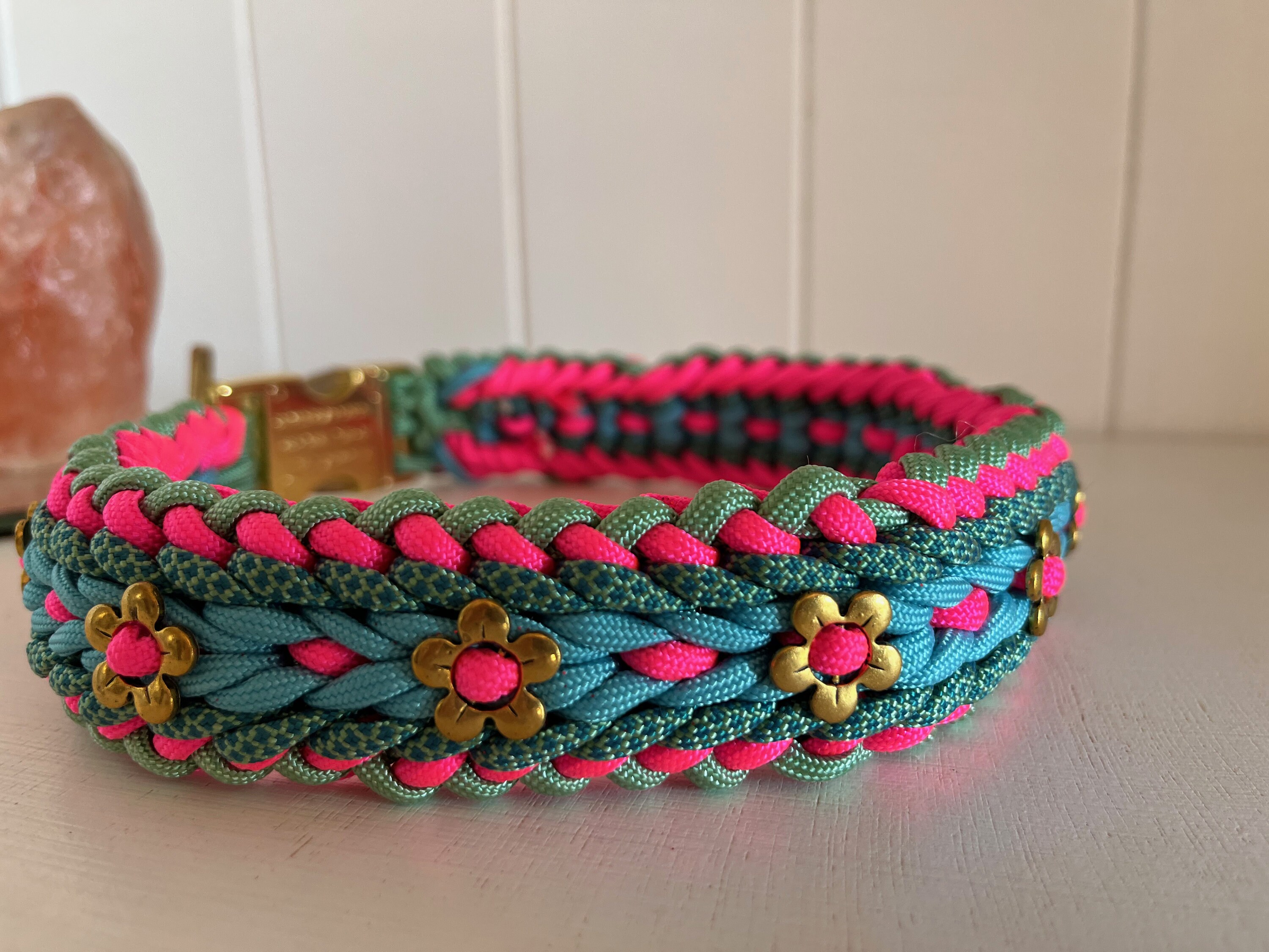 Collier et Laisse Pour Chien; Collar & Leash For Dog; Dog Collar; Leash; Paracord