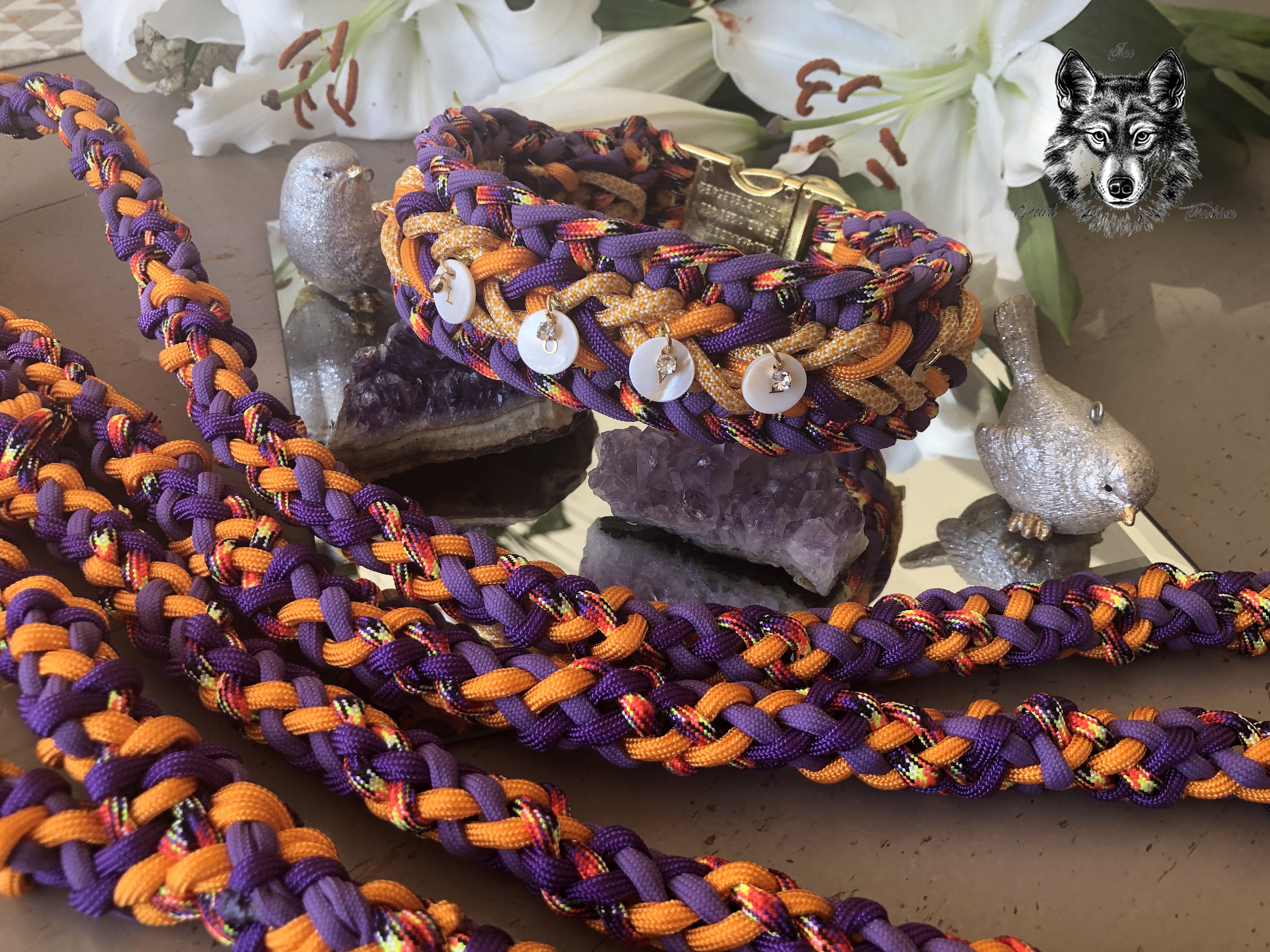 Collier et Laisse Pour Chien; Collar & Leash For Dog; Dog Collar; Leash; Paracord