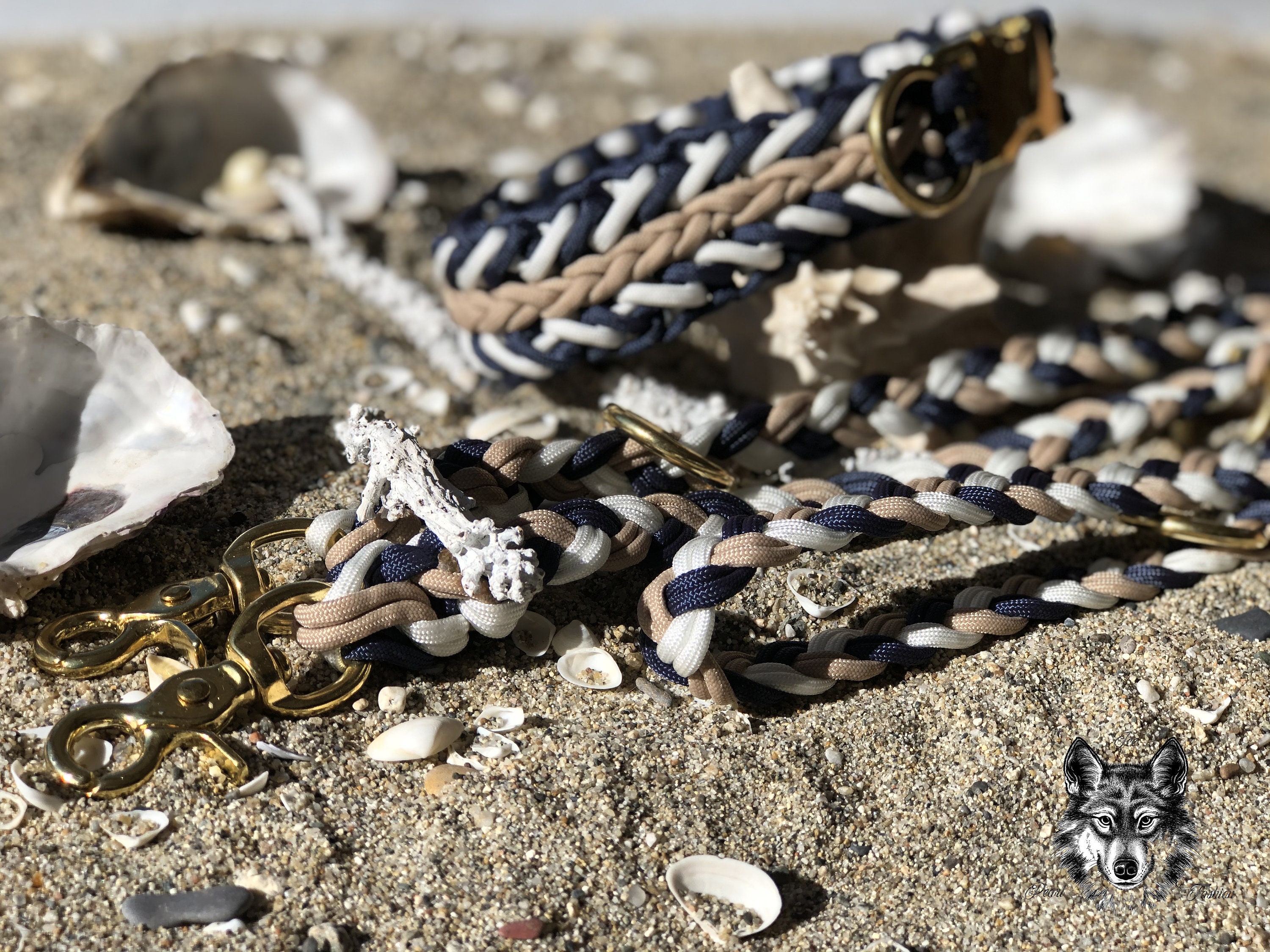 Collier et Laisse Pour Chien; Collar & Leash For Dog; Dog Collar; Leash Paracord