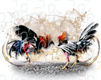 Rooster fighting blades for sale