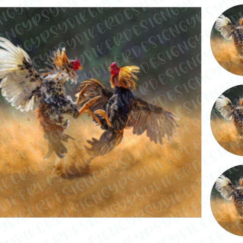 Fighting Rooster Png - Etsy