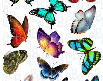 蝶のフルシートデジタルダウンロード