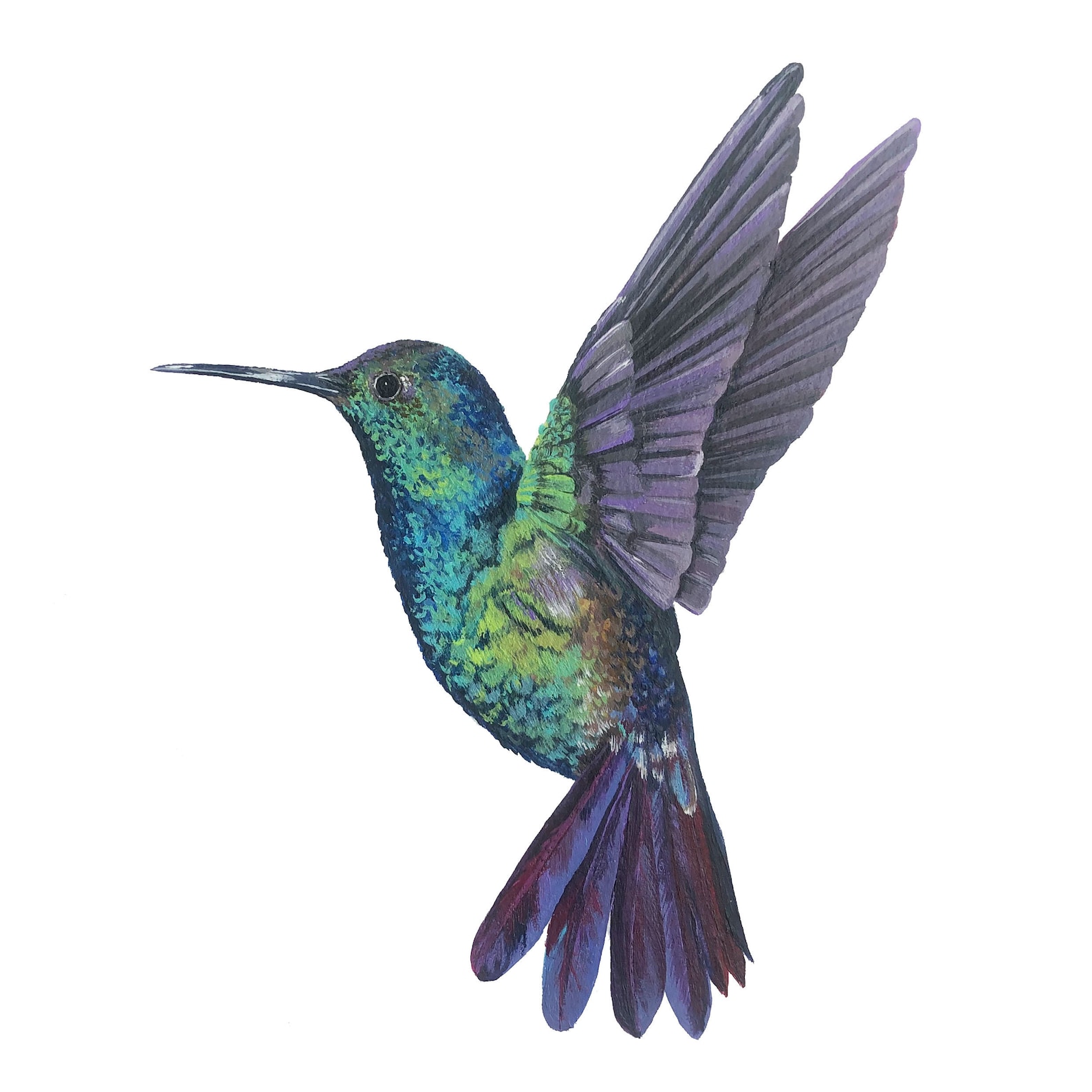 Hummingbird Print Etsy
