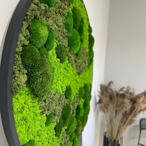 Extra large natural dried moss wall art Wall moss decor Moss wall art decor with led Aesthetic room decor Preserved Moss wall art
