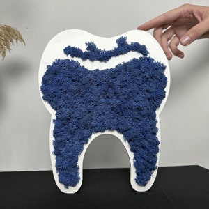 Personalized Dental Office Gift, Moss tooth Dentist office sign, Tooth Decor Dental Gift, Orthodontist Office Sign, Tooth Gift, Dentist Gift