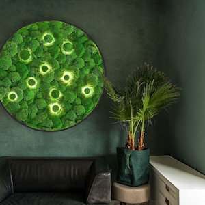 Kreis Extra große natürliche Kugel Moos Wandkunst Wand Moos Dekor Moos Wand Kunst Dekor mit LED ästhetisches Raumdekor erhaltene Moos Wandkunst