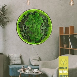 LED Extra large natural dried moss wall art decor Wall moss decor Moss wall art decor with led Aesthetic room decor Preserved Moss wall art
